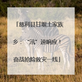 慈利县甘堰土家族乡：“汛”速响应！奋战抢险救灾一线