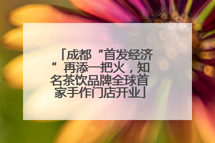 成都“首发经济”再添一把火，知名茶饮品牌全球首家手作门店开业