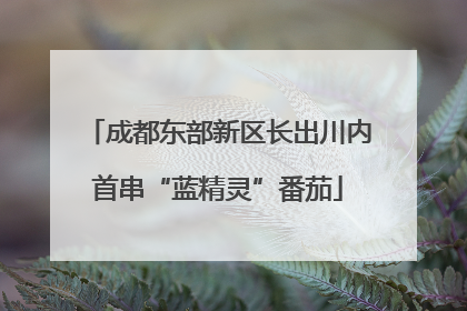 成都东部新区长出川内首串“蓝精灵”番茄