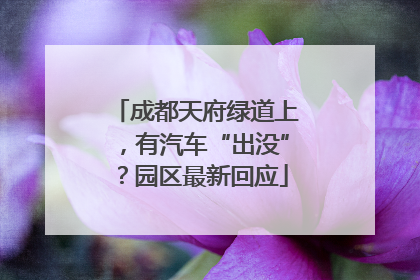 成都天府绿道上，有汽车“出没”？园区最新回应