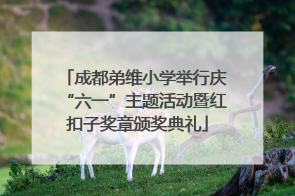 成都弟维小学举行庆“六一”主题活动暨红扣子奖章颁奖典礼