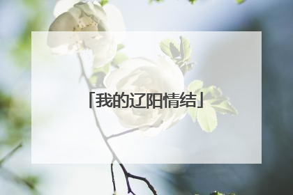 我的辽阳情结