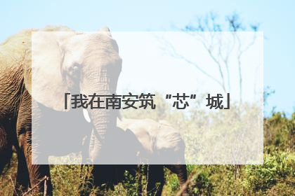 我在南安筑“芯”城