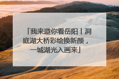 我来邀你看岳阳丨洞庭湖大桥彩绘换新颜，一城湖光入画来