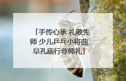 手传心承 礼敬先师 少儿乒乓小将曲阜孔庙行尊师礼
