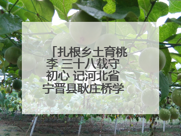 扎根乡土育桃李 三十八载守初心 记河北省宁晋县耿庄桥学区教师张志涛