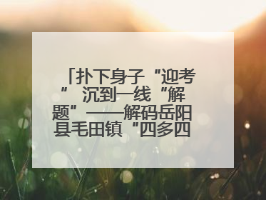 扑下身子“迎考” 沉到一线“解题”——解码岳阳县毛田镇“四多四好”工作法