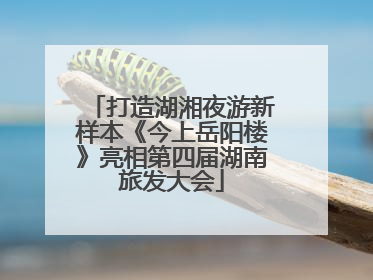 打造湖湘夜游新样本《今上岳阳楼》亮相第四届湖南旅发大会