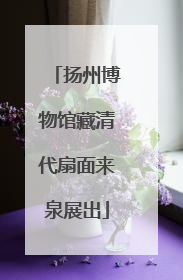 扬州博物馆藏清代扇面来泉展出