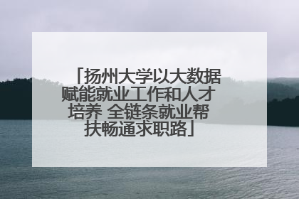 扬州大学以大数据赋能就业工作和人才培养 全链条就业帮扶畅通求职路