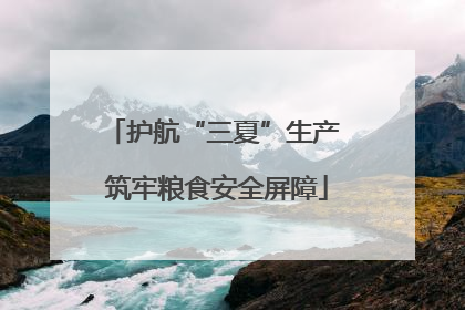 护航“三夏”生产 筑牢粮食安全屏障