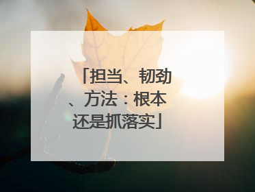 担当、韧劲、方法：根本还是抓落实