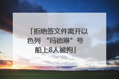 拒绝签文件离开以色列 “玛德琳”号船上8人被拘