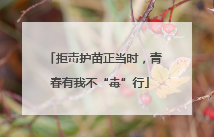 拒毒护苗正当时，青春有我不“毒”行