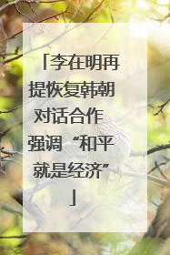 李在明再提恢复韩朝对话合作 强调“和平就是经济”