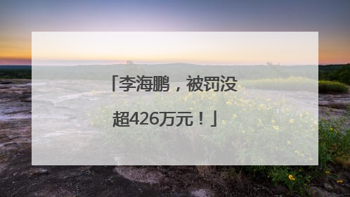 李海鹏，被罚没超426万元！
