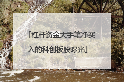 杠杆资金大手笔净买入的科创板股曝光