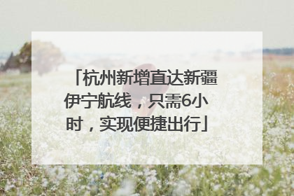 杭州新增直达新疆伊宁航线，只需6小时，实现便捷出行