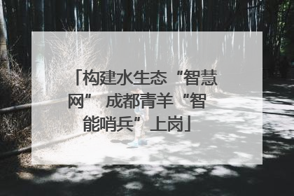 构建水生态“智慧网” 成都青羊“智能哨兵”上岗