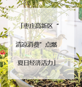 枣庄高新区“清凉消费”点燃夏日经济活力