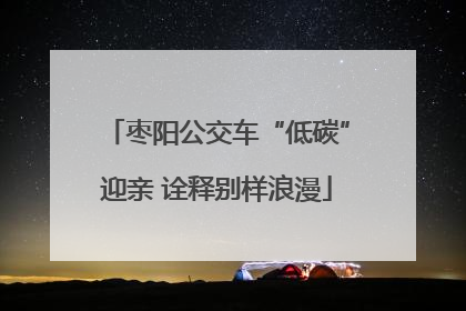 枣阳公交车“低碳”迎亲 诠释别样浪漫