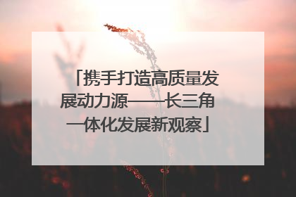 携手打造高质量发展动力源——长三角一体化发展新观察