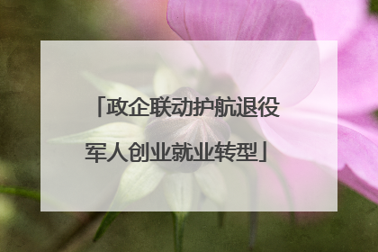 政企联动护航退役军人创业就业转型