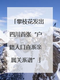 攀枝花发出四川首张“户籍人口直系亲属关系谱”