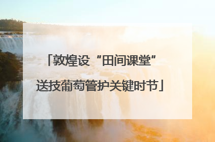 敦煌设“田间课堂” 送技葡萄管护关键时节