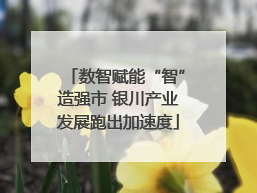 数智赋能“智”造强市 银川产业发展跑出加速度