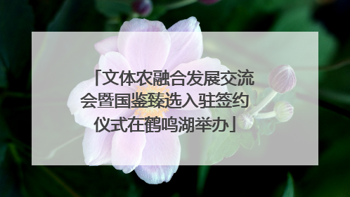 文体农融合发展交流会暨国鉴臻选入驻签约仪式在鹤鸣湖举办
