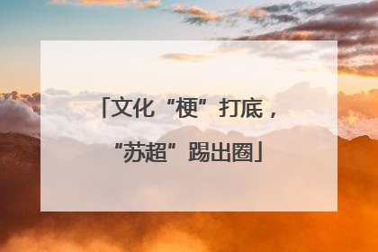 文化“梗”打底，“苏超”踢出圈