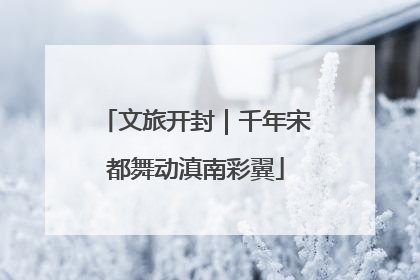 文旅开封｜千年宋都舞动滇南彩翼