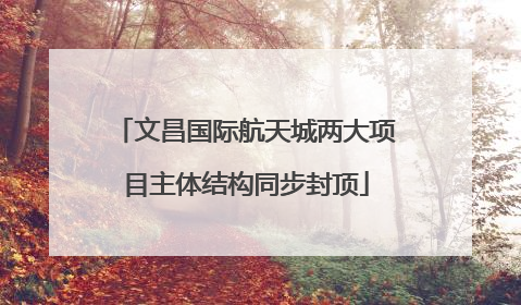 文昌国际航天城两大项目主体结构同步封顶