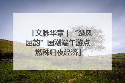 文脉华章｜“楚风屈韵”国潮端午游点燃秭归夜经济
