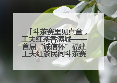 斗茶赛里见真章，工夫红茶香满城——首届“诚信杯”福建工夫红茶民间斗茶赛成功举办