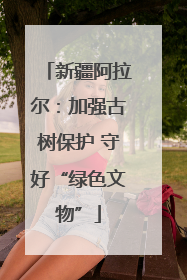 新疆阿拉尔：加强古树保护 守好“绿色文物”