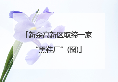 新余高新区取缔一家“黑鞋厂”(图)