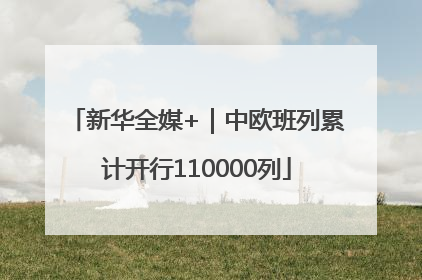 新华全媒+｜中欧班列累计开行110000列