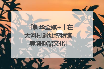 新华全媒+丨在大河村遗址博物馆寻溯仰韶文化