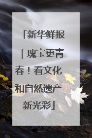 新华鲜报｜瑰宝更青春！看文化和自然遗产新光彩