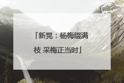 新晃：杨梅缀满枝 采梅正当时