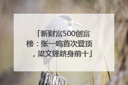 新财富500创富榜：张一鸣首次登顶，梁文锋跻身前十