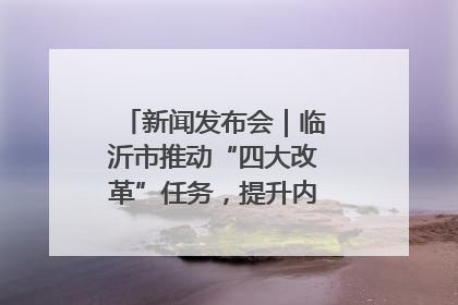 新闻发布会｜临沂市推动“四大改革”任务，提升内部审计监督效能