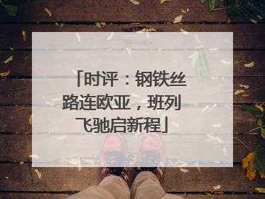 时评：钢铁丝路连欧亚，班列飞驰启新程