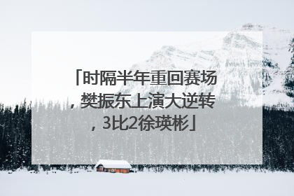 时隔半年重回赛场，樊振东上演大逆转，3比2徐瑛彬