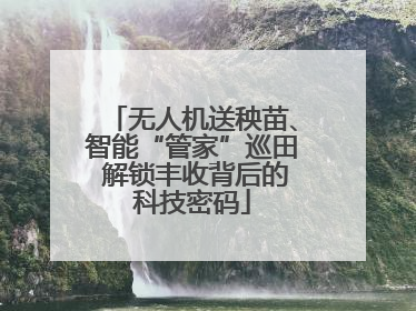 无人机送秧苗、智能“管家”巡田 解锁丰收背后的科技密码