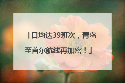日均达39班次，青岛至首尔航线再加密！