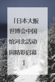 日本大阪世博会中国馆河北活动周精彩启幕