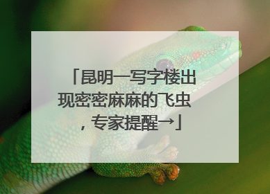 昆明一写字楼出现密密麻麻的飞虫，专家提醒→